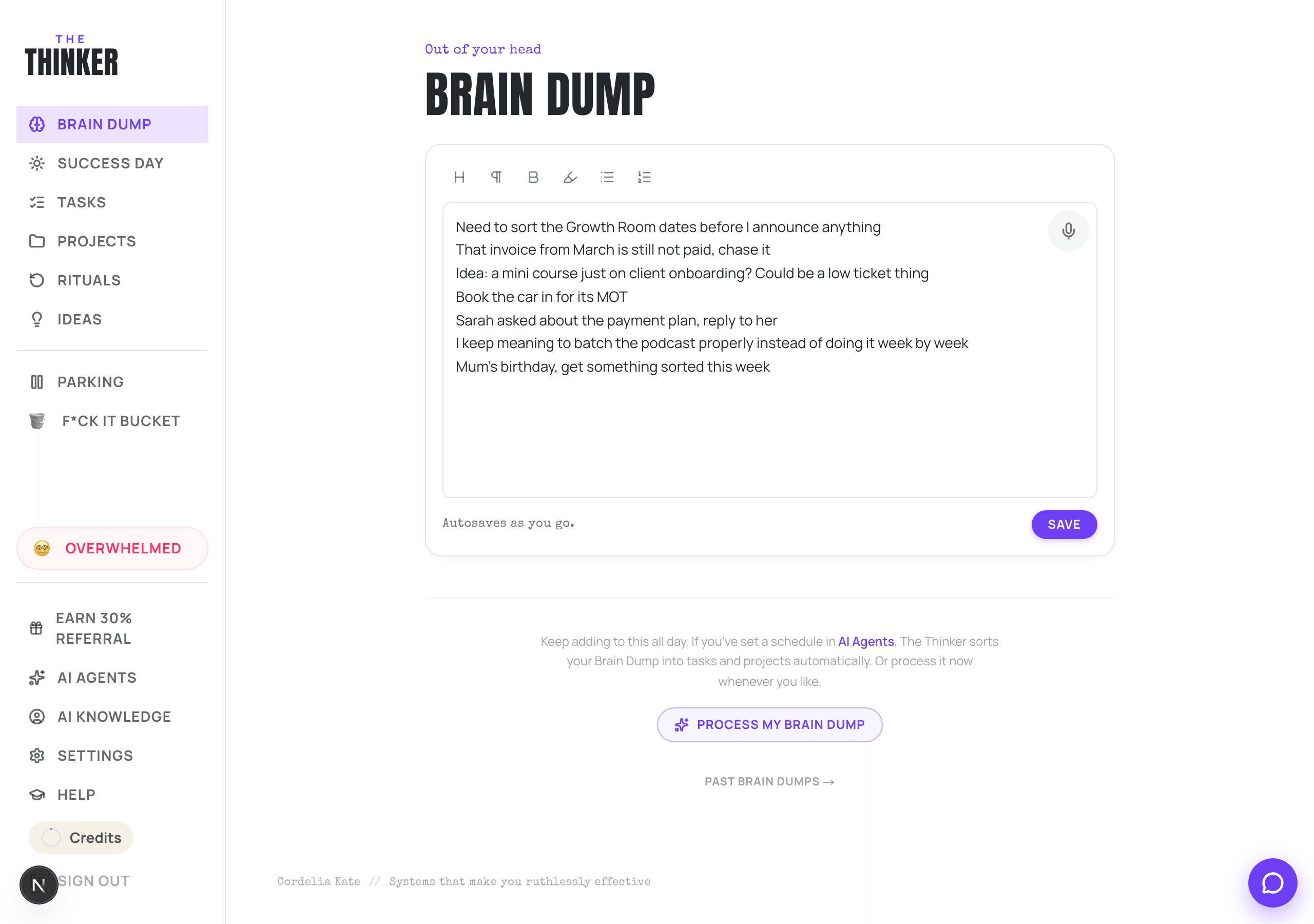 The Brain Dump page, one large open pad for typing into.